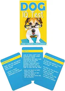 Dog IQ Test